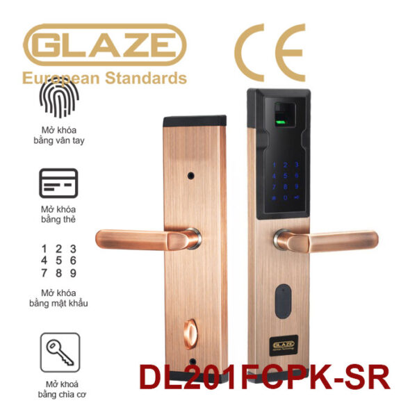 Khóa cửa vân tay DL201 - Ảnh 4